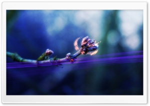 Creative Purple Flowers Ultra HD Wallpaper for 4K UHD Widescreen desktop, tablet & smartphone