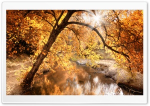 Creek, Autumn Ultra HD Wallpaper for 4K UHD Widescreen desktop, tablet & smartphone