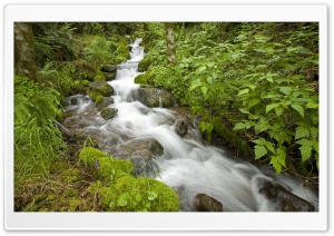 Creek Oregon Ultra HD Wallpaper for 4K UHD Widescreen desktop, tablet & smartphone