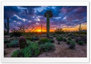 Crescent Sunset 4K UHD Wallpaper for Widescreen and UltraWide Desktop, UltraHD TV, Smartphone, Tablet