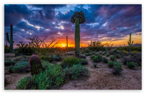 Crescent Sunset UltraHD Wallpaper for UHD 16:9 ; HD 16:9 ; UltraWide 21:9 24:10 ; Widescreen 16:10 5:3 ; Fullscreen 4:3 5:4 3:2 ; Tablet 1:1 ; Mobile 9:16 9:19.5 9:20 9:21 9:22 10:16 2:3 3:5 3:4 ;