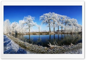Crooked Rhine River   Fisheye Photography Ultra HD Wallpaper for 4K UHD Widescreen desktop, tablet & smartphone