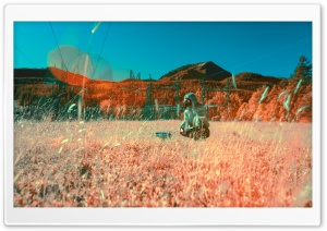 Crouching Infrared Photography Ultra HD Wallpaper for 4K UHD Widescreen desktop, tablet & smartphone