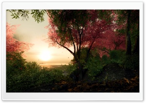 Crysis Video Game Sakura Ultra HD Wallpaper for 4K UHD Widescreen desktop, tablet & smartphone