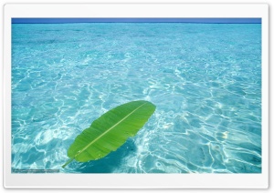 Crystal clear water Ultra HD Wallpaper for 4K UHD Widescreen desktop, tablet & smartphone