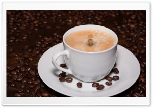Cup of Coffee Drop Splash Ultra HD Wallpaper for 4K UHD Widescreen desktop, tablet & smartphone