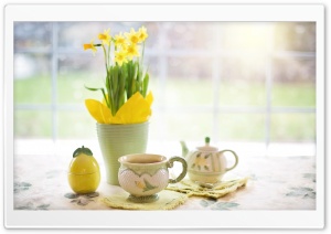 Cup of Tea, Daffodils Flowers, Spring Ultra HD Wallpaper for 4K UHD Widescreen desktop, tablet & smartphone