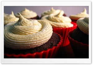 Cupcakes With Cream Ultra HD Wallpaper for 4K UHD Widescreen desktop, tablet & smartphone