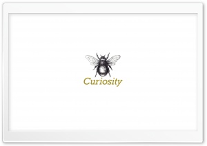 Curiosity Ultra HD Wallpaper for 4K UHD Widescreen desktop, tablet & smartphone