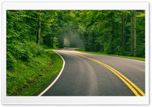 Curved Road through Vibrant Green Forest Ultra HD Wallpaper for 4K UHD Widescreen Desktop, Lockscreen, Screensaver, TV, Tablet, Smartphone