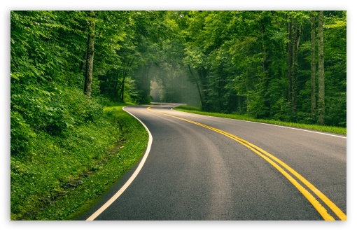 Curved Road through Vibrant Green Forest UltraHD Wallpaper for UHD 16:9 ; HD 16:9 ; UltraWide 21:9 24:10 32:9 32:10 ; Widescreen 16:10 5:3 ; Fullscreen 4:3 5:4 3:2 ; Tablet 1:1 ; Mobile 9:16 9:19.5 9:20 10:16 2:3 3:5 3:4 ; Dual 16:10 5:3 16:9 4:3 5:4 3:2 ;