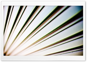 Cut The Slack Ultra HD Wallpaper for 4K UHD Widescreen desktop, tablet & smartphone