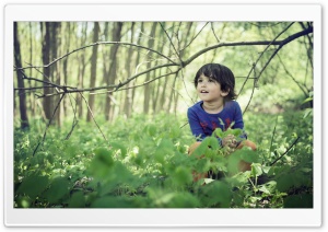 Cute Child Boy, Forest, Springtime Ultra HD Wallpaper for 4K UHD Widescreen desktop, tablet & smartphone