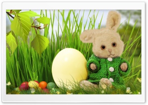 Cute Easter Bunny 2016 Ultra HD Wallpaper for 4K UHD Widescreen desktop, tablet & smartphone