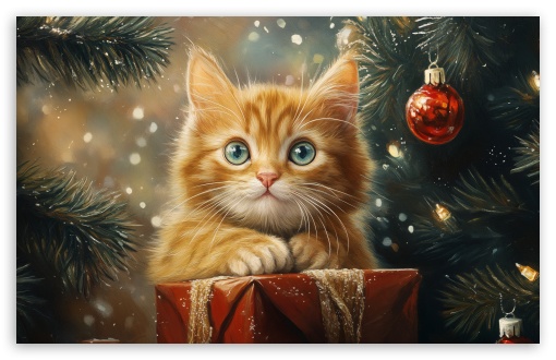 Cute Kitten Under Christmas Tree UltraHD Wallpaper for UHD 16:9 ; HD 16:9 ; UltraWide 21:9 24:10 ; Widescreen 16:10 5:3 ; Fullscreen 4:3 5:4 3:2 ; Tablet 1:1 ; Mobile 9:16 9:19.5 9:20 10:16 2:3 3:5 3:4 ;