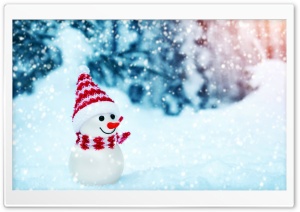Cute Snowman Ultra HD Wallpaper for 4K UHD Widescreen desktop, tablet & smartphone
