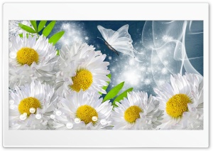 Daisies Flowers Design Ultra HD Wallpaper for 4K UHD Widescreen Desktop, Lockscreen, Screensaver, TV, Tablet, Smartphone