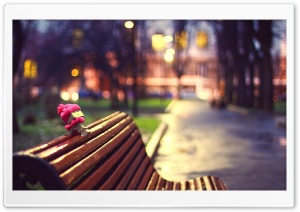 Danbo, Cold Evening Ultra HD Wallpaper for 4K UHD Widescreen desktop, tablet & smartphone