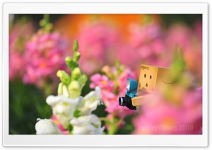 Danbo Lost In The Flower Sea... Ultra HD Wallpaper for 4K UHD Widescreen desktop, tablet & smartphone
