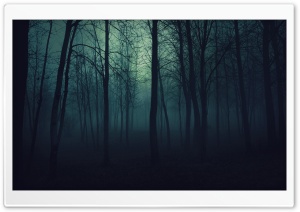Dark Forest Ultra HD Wallpaper for 4K UHD Widescreen desktop, tablet & smartphone
