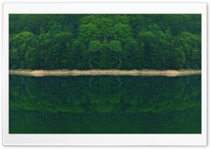 Dark Green Forest by the River Ultra HD Wallpaper for 4K UHD Widescreen desktop, tablet & smartphone