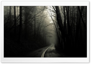 Dark Road Forest Ultra HD Wallpaper for 4K UHD Widescreen desktop, tablet & smartphone