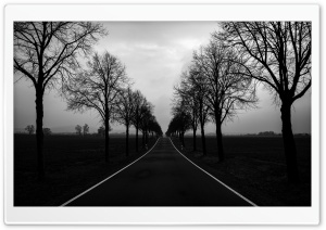 Dark Winter Road 4K UHD Wallpaper for Widescreen and UltraWide Desktop, UltraHD TV, Smartphone, Tablet