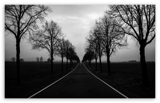 Dark Winter Road UltraHD Wallpaper for UHD 16:9 ; HD 16:9 ; UltraWide 21:9 24:10 ; Widescreen 16:10 ; Tablet 1:1 ;