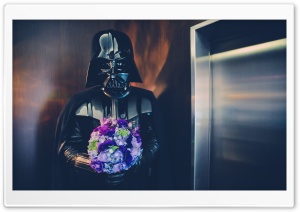 Darth Vader Wedding Ultra HD Wallpaper for 4K UHD Widescreen desktop, tablet & smartphone