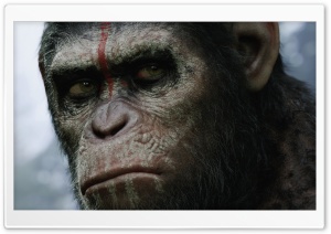 Dawn of the Planet of the Apes Ultra HD Wallpaper for 4K UHD Widescreen desktop, tablet & smartphone