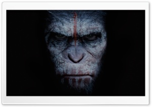 Dawn of the Planet of the Apes 2014 Movie Ultra HD Wallpaper for 4K UHD Widescreen desktop, tablet & smartphone