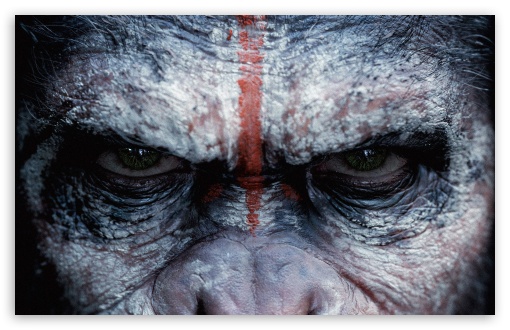 War for the planet of the apes  Caesar and Nova 4K wallpaper download