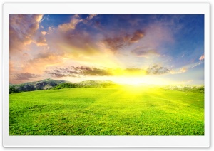 Dazzling Sun Ultra HD Wallpaper for 4K UHD Widescreen desktop, tablet & smartphone