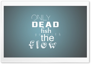 dead fish Ultra HD Wallpaper for 4K UHD Widescreen desktop, tablet & smartphone