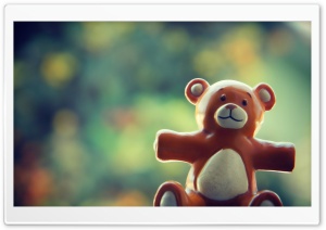 Dear Bear Ultra HD Wallpaper for 4K UHD Widescreen desktop, tablet & smartphone