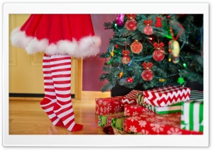 Decorating Christmas Tree Ultra HD Wallpaper for 4K UHD Widescreen desktop, tablet & smartphone