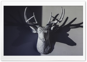 Deer Head Sculpture Ultra HD Wallpaper for 4K UHD Widescreen desktop, tablet & smartphone