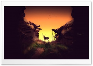 Deer in the Sunset Ultra HD Wallpaper for 4K UHD Widescreen desktop, tablet & smartphone