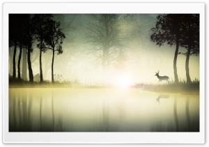 Deer Near A Lake Ultra HD Wallpaper for 4K UHD Widescreen desktop, tablet & smartphone