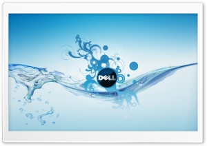 Dell Co Ultra HD Wallpaper for 4K UHD Widescreen desktop, tablet & smartphone