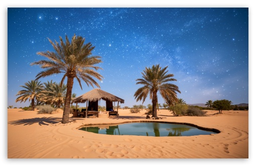 Desert Oasis Haven UltraHD Wallpaper for UHD 16:9 ; HD 16:9 ; UltraWide 21:9 24:10 ; Widescreen 16:10 ;