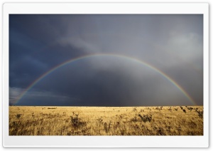 Desert Rainbow Ultra HD Wallpaper for 4K UHD Widescreen desktop, tablet & smartphone