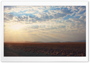Desert Sunrise Ultra HD Wallpaper for 4K UHD Widescreen desktop, tablet & smartphone