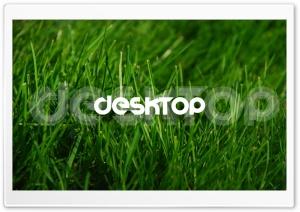 Desktop Ultra HD Wallpaper for 4K UHD Widescreen desktop, tablet & smartphone