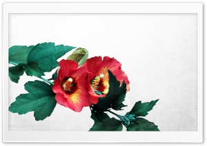 Desktop Flowers Ultra HD Wallpaper for 4K UHD Widescreen desktop, tablet & smartphone