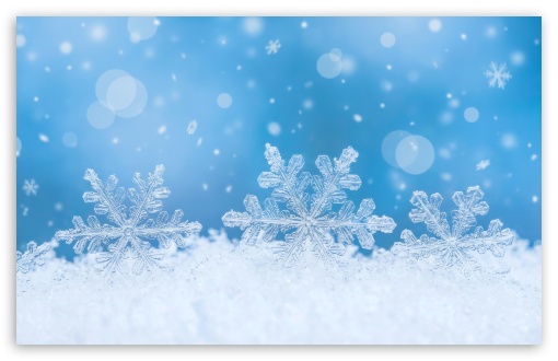 Detailed Snowflakes On Blue Background UltraHD Wallpaper for HD 16:9 ; UltraWide 21:9 24:10 32:9 32:10 ; Widescreen 16:10 5:3 ; Fullscreen 4:3 5:4 3:2 ; Tablet 1:1 ; Mobile 9:16 9:19.5 9:20 10:16 2:3 3:5 3:4 ; Dual 16:10 5:3 16:9 4:3 5:4 3:2 ;