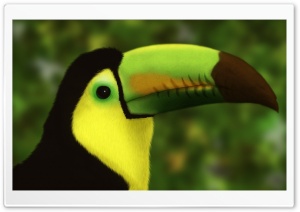 Digital Bird Ultra HD Wallpaper for 4K UHD Widescreen desktop, tablet & smartphone