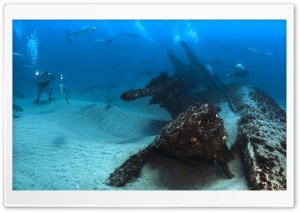 Divers On Ocean Bottom Ultra HD Wallpaper for 4K UHD Widescreen desktop, tablet & smartphone