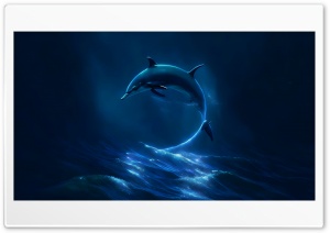 Dolphin Jumping In The Sea 4K UHD Wallpaper for Widescreen and UltraWide Desktop, UltraHD TV, Smartphone, Tablet