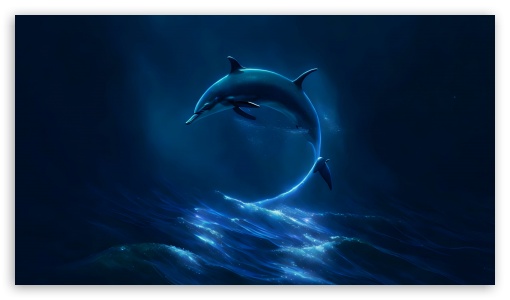Dolphin Jumping In The Sea UltraHD Wallpaper for UHD 16:9 ; HD 16:9 ;